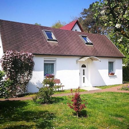 Ferienhaus Im Igelbau Baabe Ngoại thất bức ảnh