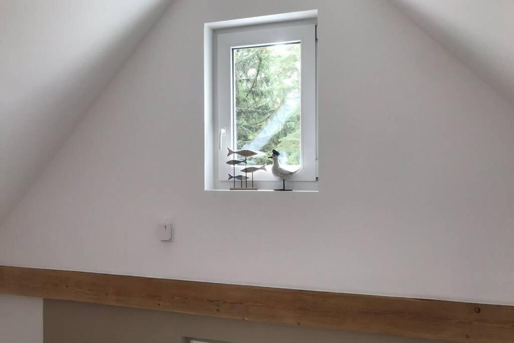 Ferienhaus Im Igelbau Baabe Ngoại thất bức ảnh
